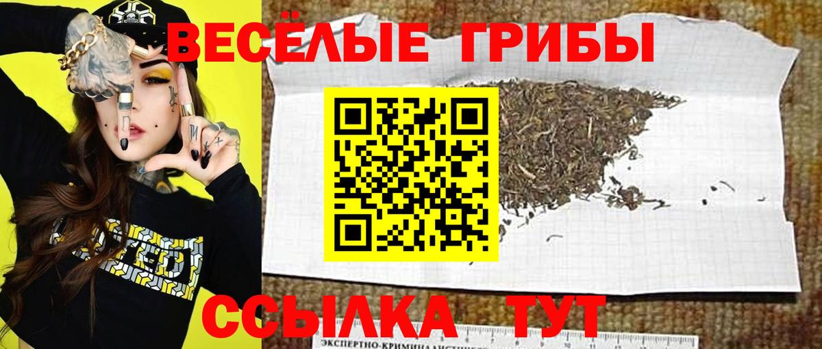 Псилоцибиновые грибы мухоморы Сарапул